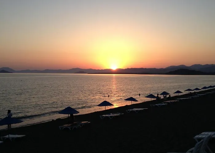 乐特丽格德公寓 *